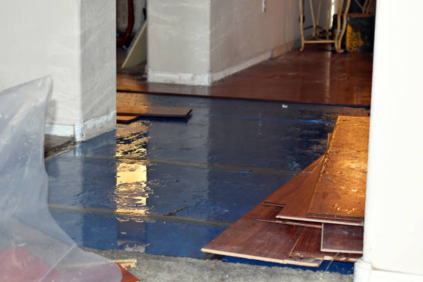 Professional Basement Flood Cleanup technician working in Baxter, IA
